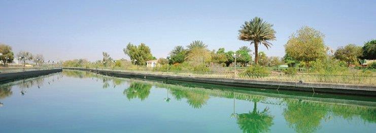 One To One Hotel & Resort Ain Al Faida al-Ain Exterior foto